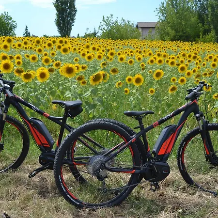 Cascina Trapella Κατάλυμα σε φάρμα