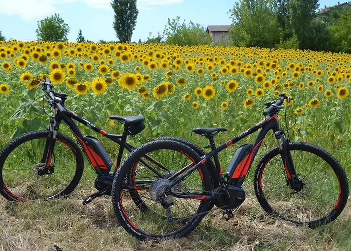 Cascina Trapella Κατάλυμα σε φάρμα